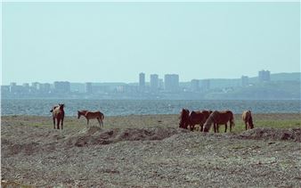 Lilli Haapala: Searching for Utopia - Salo Art Museum