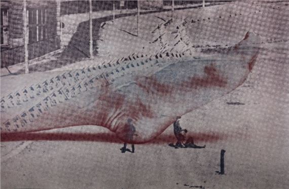 VOSTELL Wolff. ORIGINAL SERIGRAPHY SIGNED Circa 1965