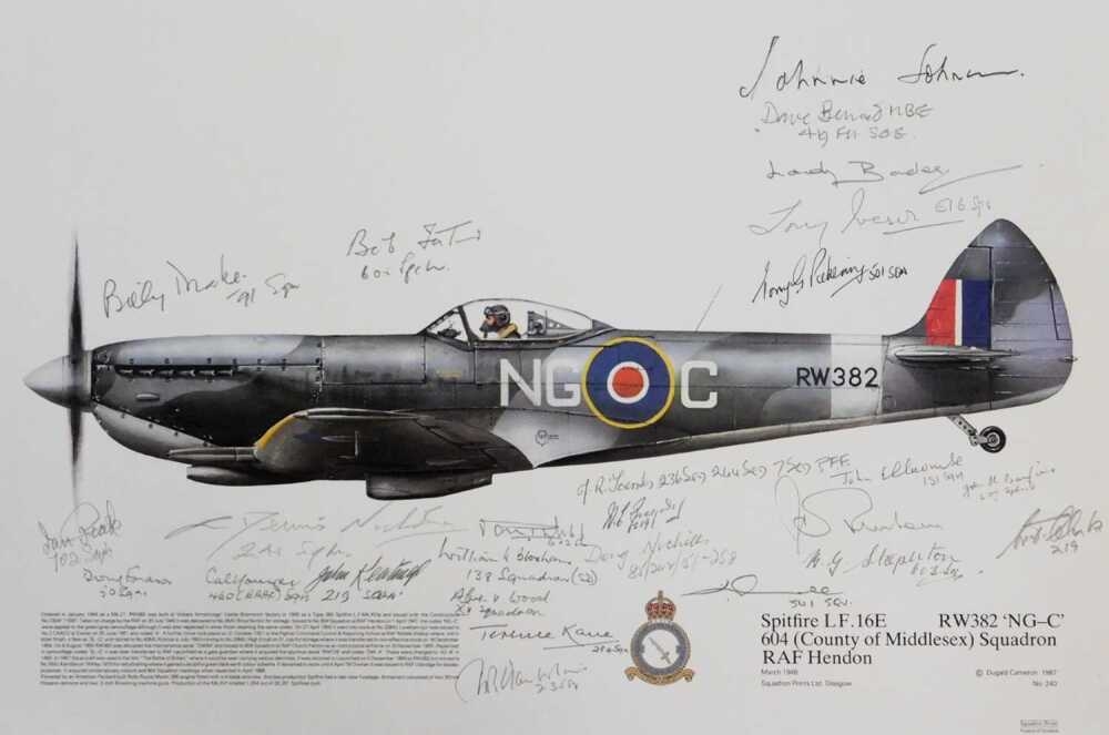 Dugald Cameron | Dugald Cameron. Spitfire LF.16E RW382 NG-C 604 (County ...