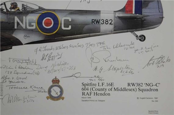 Dugald Cameron | Dugald Cameron. Spitfire LF.16E RW382 NG-C 604 (County ...