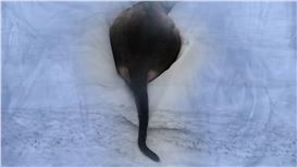 Defiance and Disobedience: Artists Reclaim the Self at Sundaram Tagore Gallery