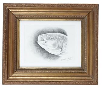 A study of a fish - Stephen Harper