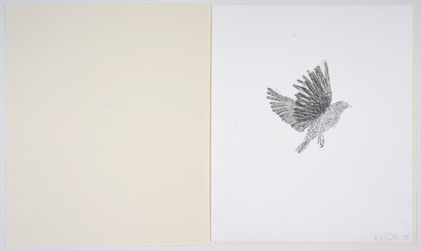 Artwork by Kiki Smith, Bird, Made of Multiple/Grafik/Collage