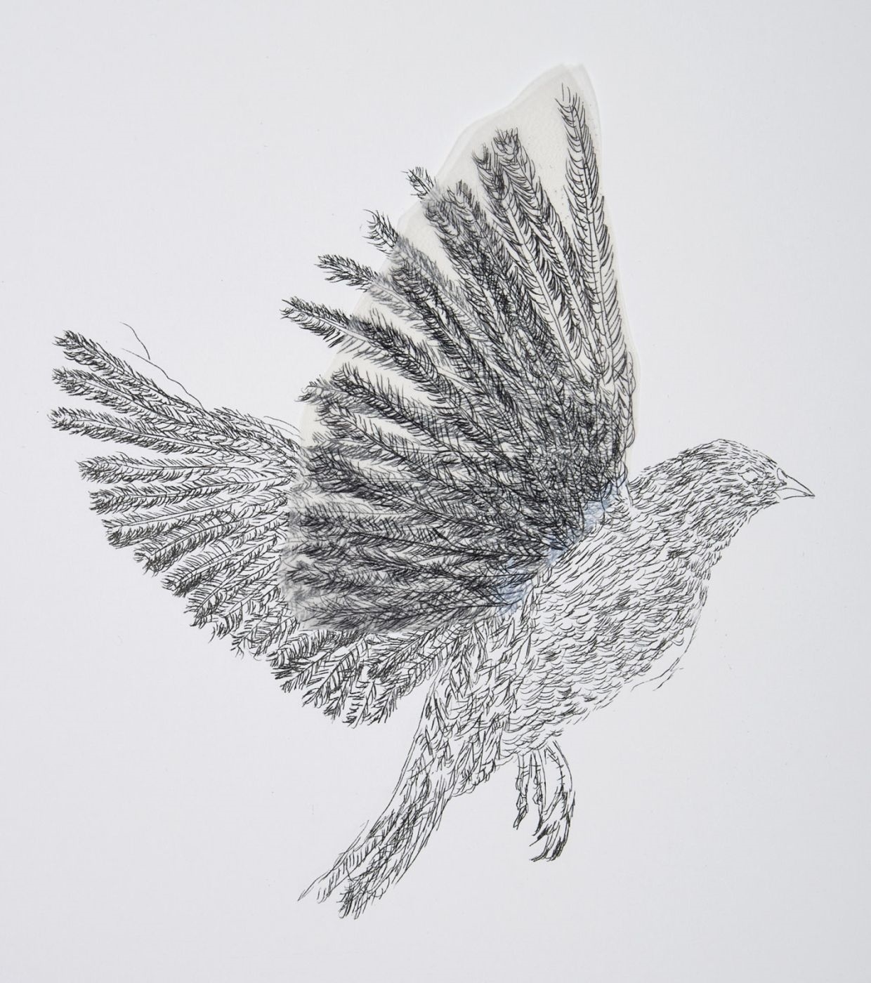Artwork by Kiki Smith, Bird, Made of Multiple/Grafik/Collage