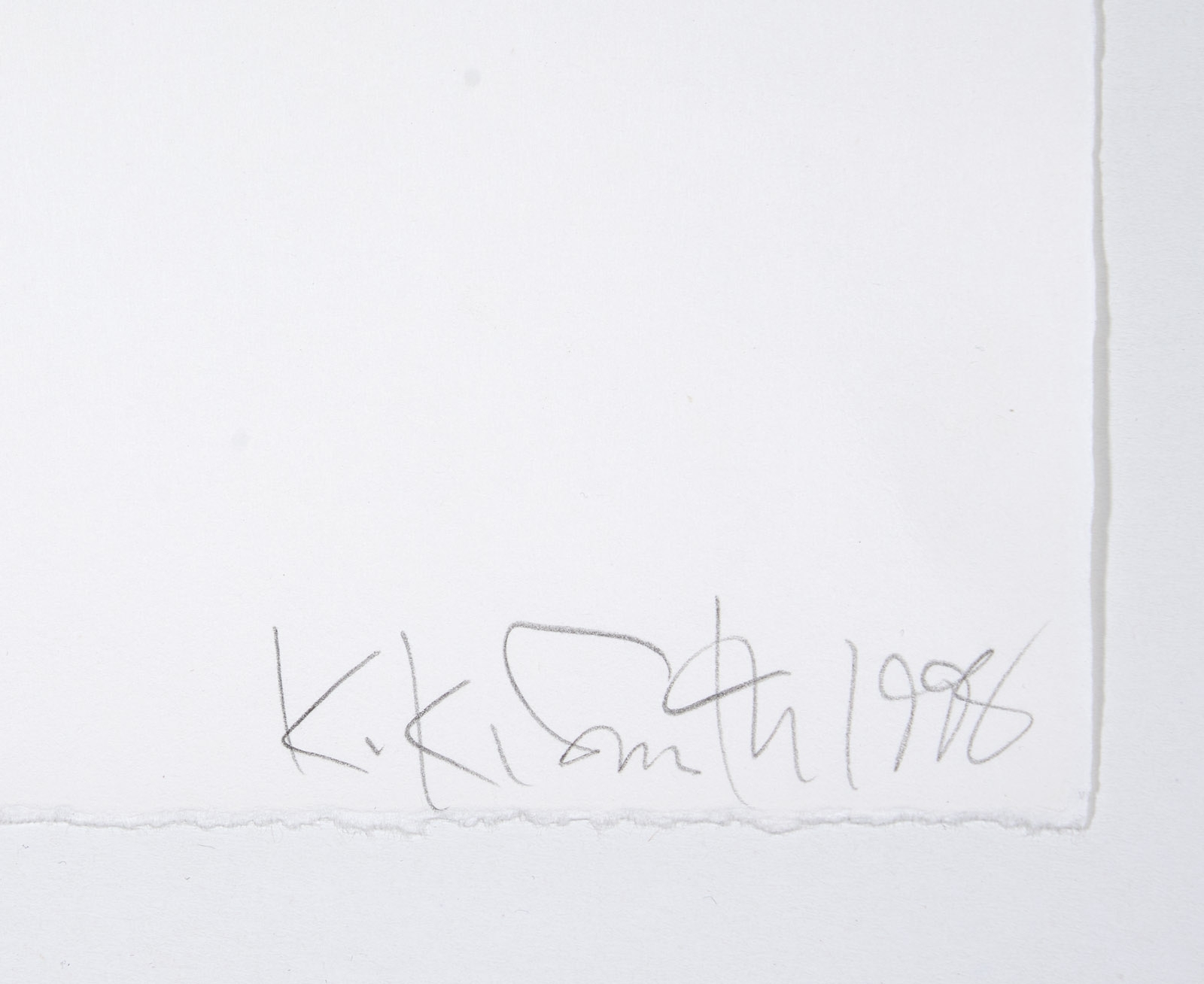 Artwork by Kiki Smith, Bird, Made of Multiple/Grafik/Collage