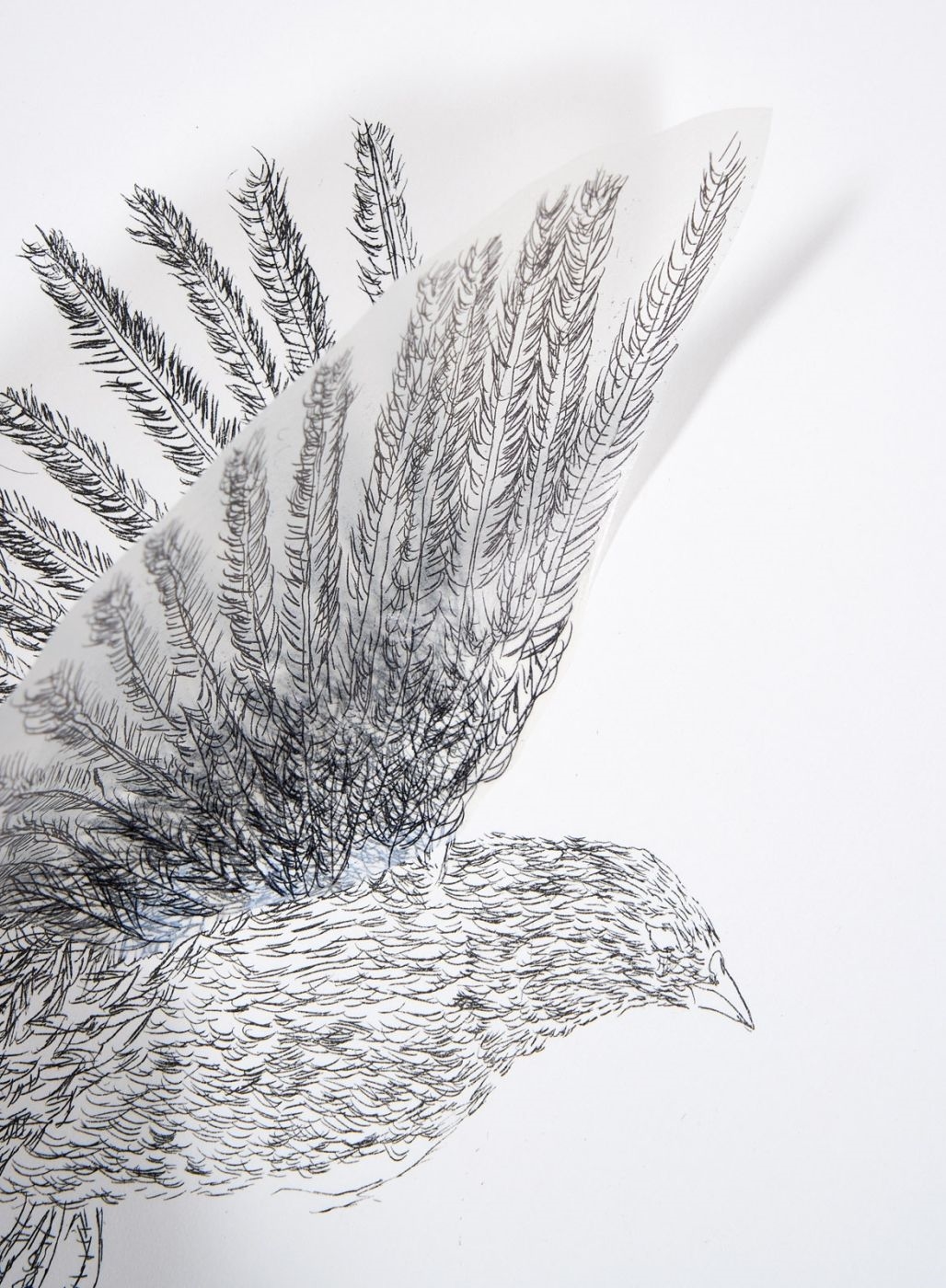 Artwork by Kiki Smith, Bird, Made of Multiple/Grafik/Collage