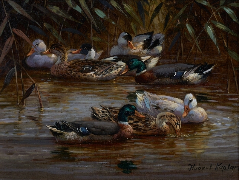 Artwork by Hubert Kaplan, Enten am Teich, Made of oil on wood