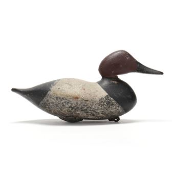 Canvasback - Mitchell Fulcher
