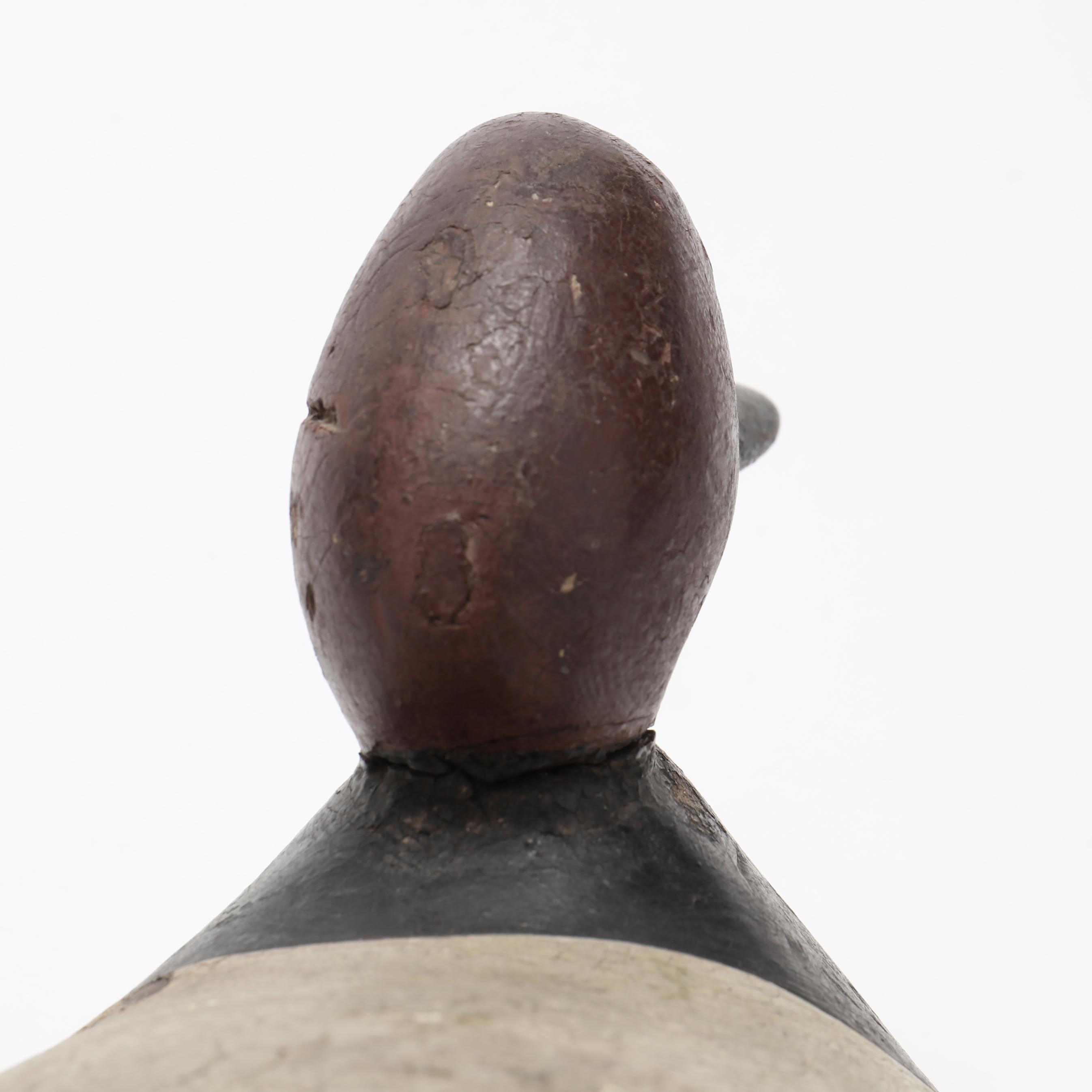 Artwork by Mitchell Fulcher, Canvasback, Made of carved and painted wood, glass