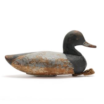 Bluebill - Alvah Fulcher