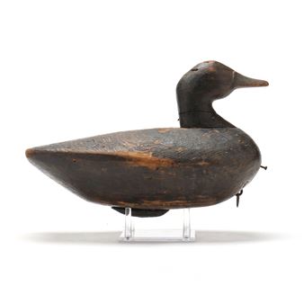 Published Black Duck - Charlie Waterfield