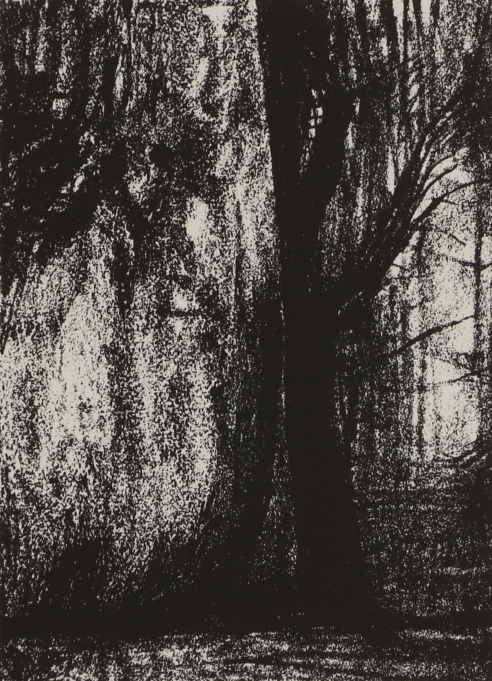 Artwork by Henry Moore, Auden Poems Moore Lithographs Portfolio 1974, Made of Lithographs Portfolio