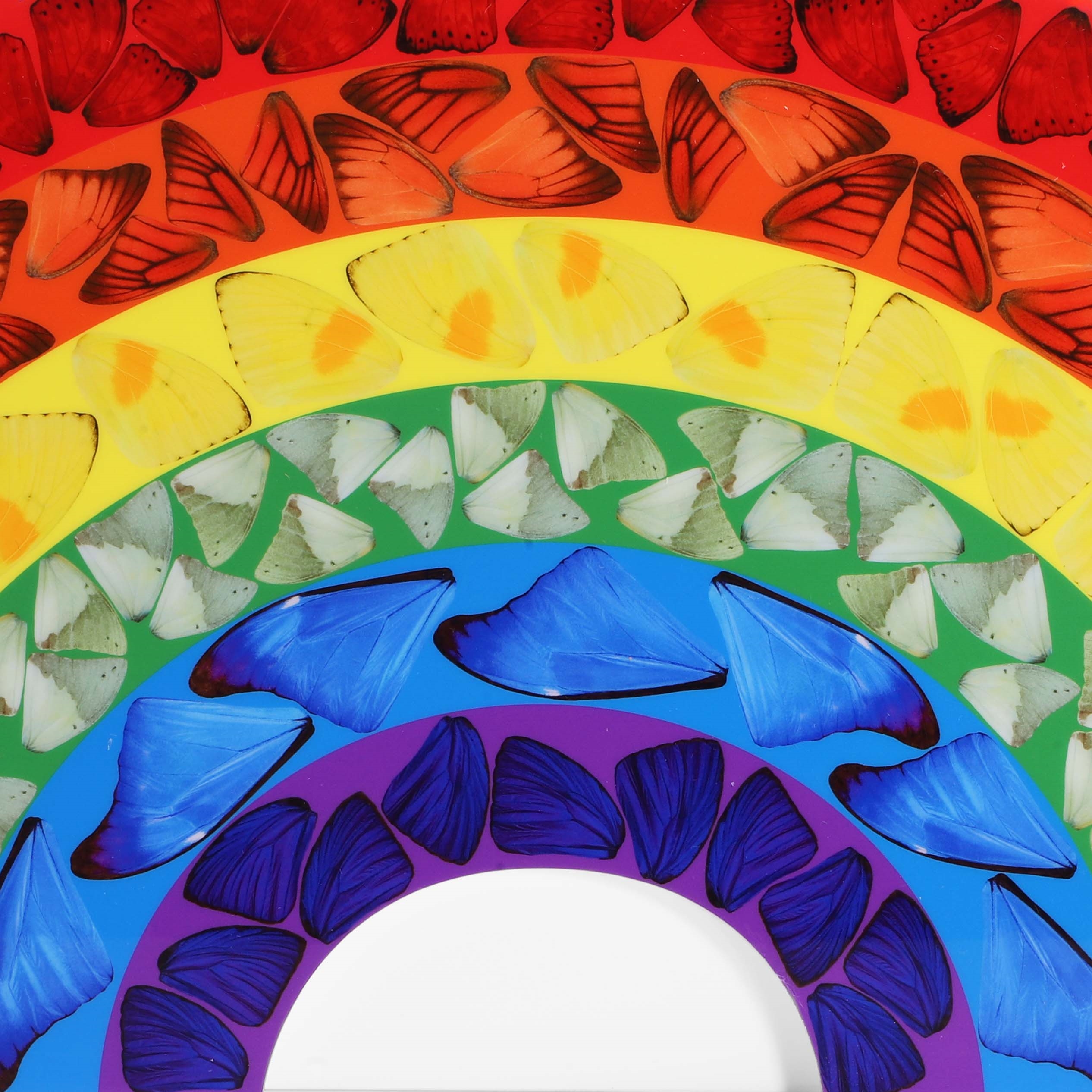 Artwork by Damien Hirst, Butterfly Rainbow (Small), Made of Laminated Giclée print on aluminium composite panel