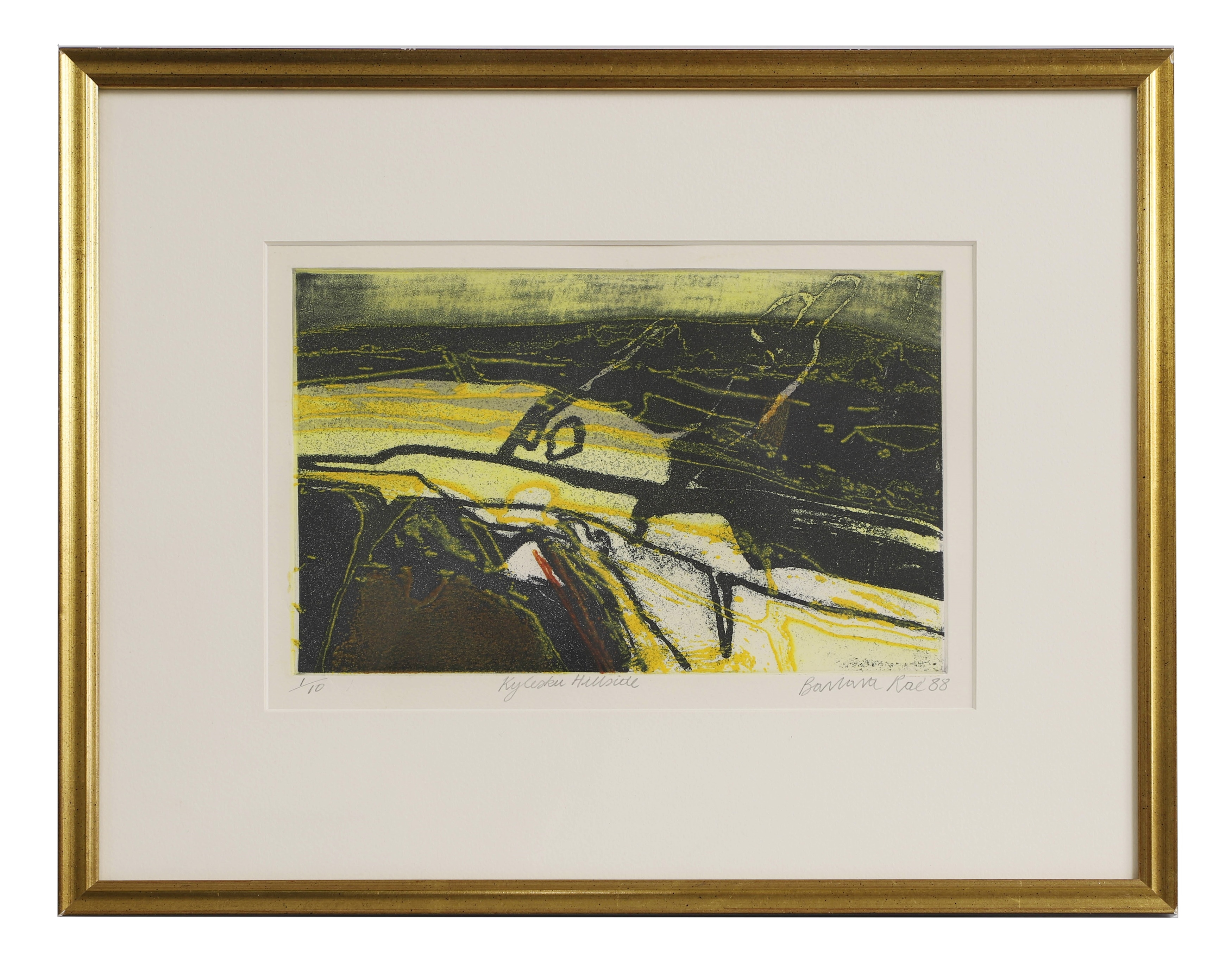 Barbara Rae | Kylesku Hillside (1988) | MutualArt