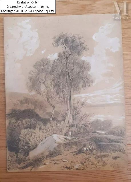Louis Castel | Louis CASTEL (1852-1922 | MutualArt