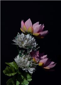 Sakiko Nomura: Tender Is the Night