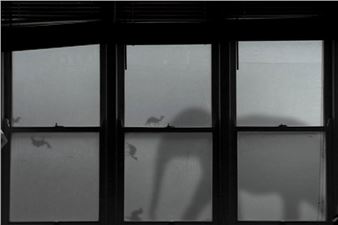 Hiraki Sawa: Journeys in Place