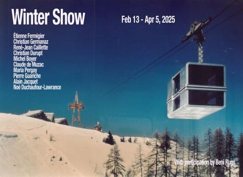 Winter Show - Demisch Danant