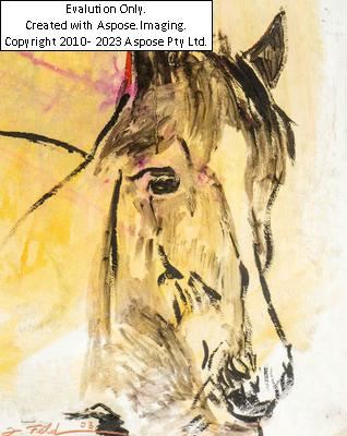 „Tierportrait“ - Jenny Feldmann