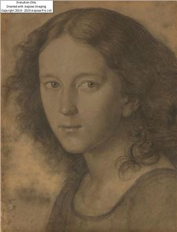 Portrait study of Felix Mendelssohn, aged twelve;&#160; - Carl Begas