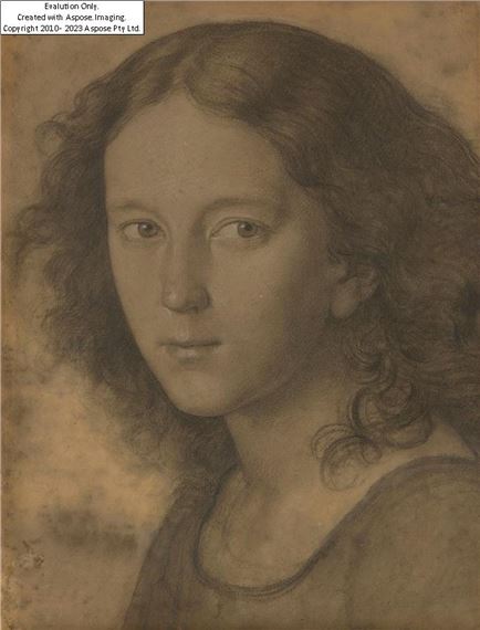 Portrait study of Felix Mendelssohn, aged twelve;&#160; - Carl Begas