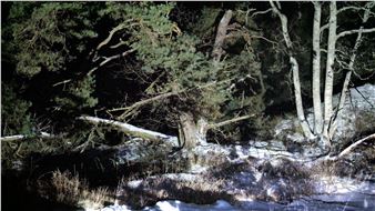 Cecilia Kim: Serenade, where nights are long and strange - South Bend Museum of Art