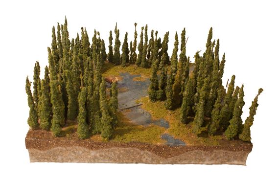 On Thin Ice: Alaska’s Warming Wilderness - Bruce Museum