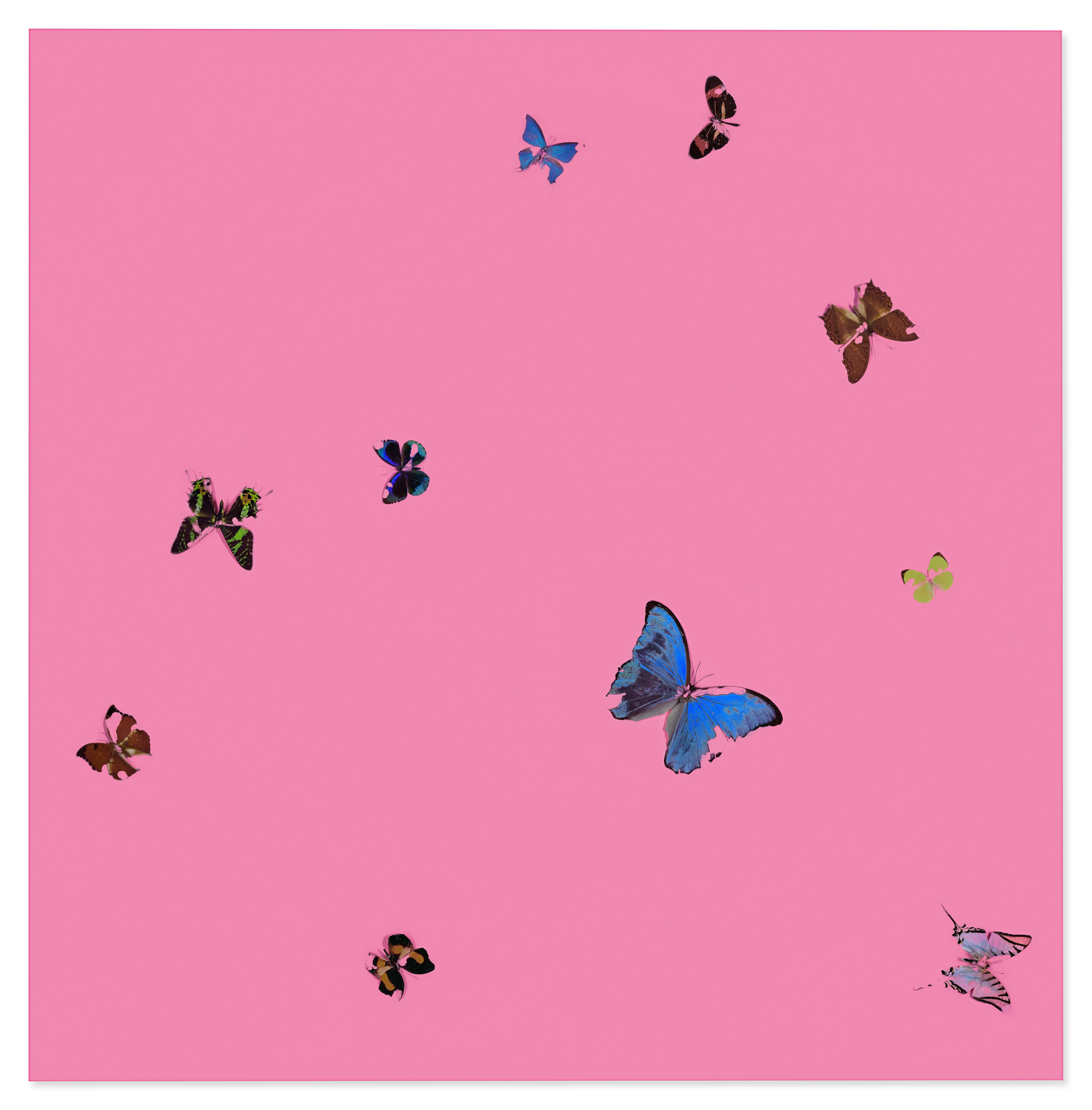 Artwork by Damien Hirst, Butcher's Love, Made of butterflies and household gloss on canvas