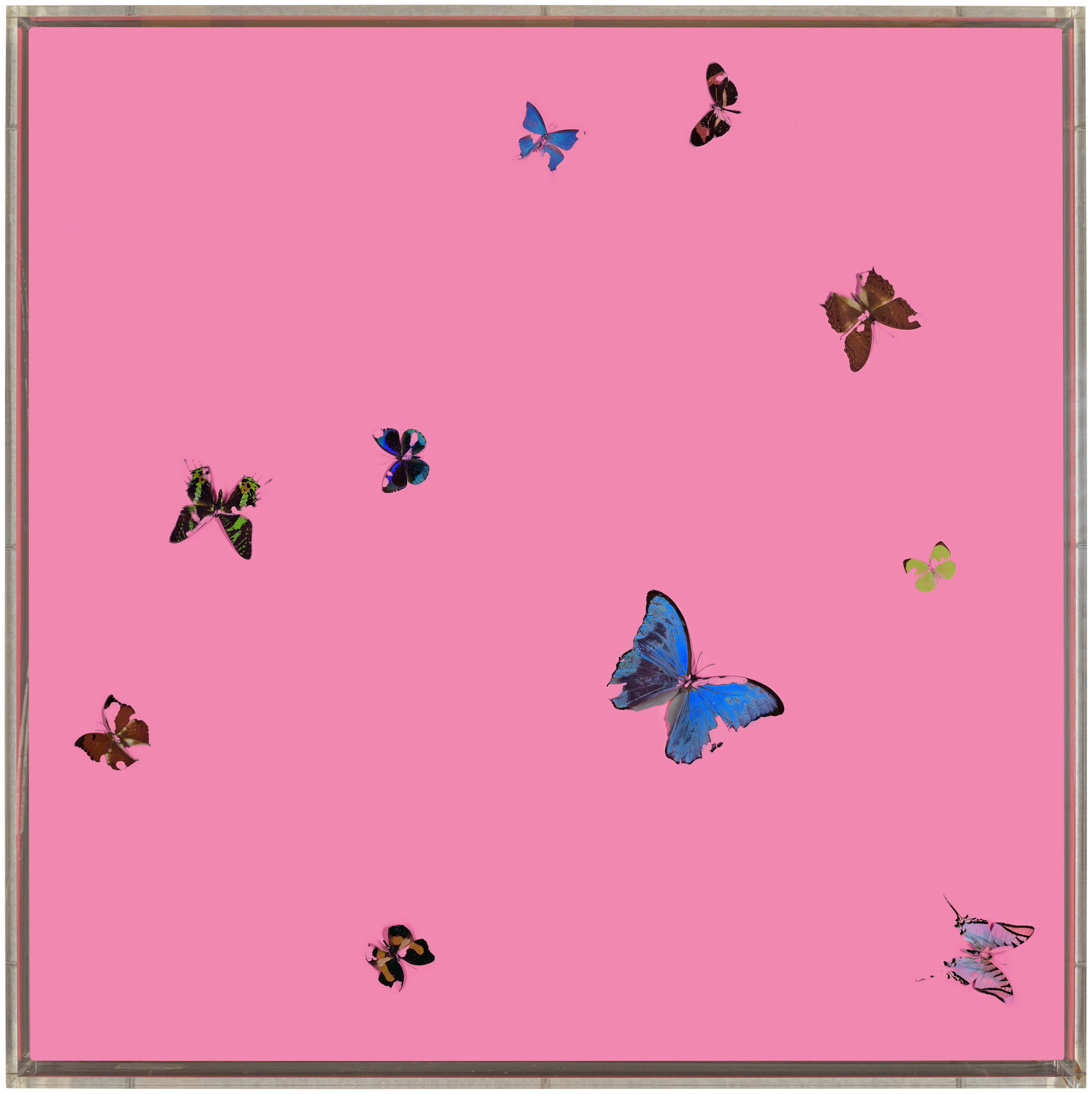 Artwork by Damien Hirst, Butcher's Love, Made of butterflies and household gloss on canvas