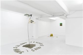 Anthony Coleman & Guadalupe Salgado: Near To Singularity, Unclear Which Side - The Flat - Massimo Carasi 