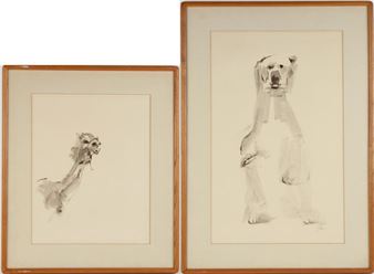 Camel and Polar Bear - J. Roth