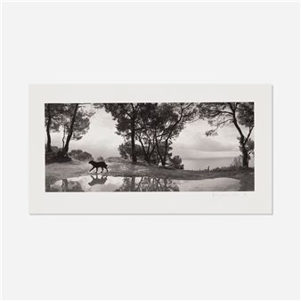 アート・デザイン・音楽 here far away / pentti sammallahti アート・デザイン・音楽 here far away / pentti sammallahti