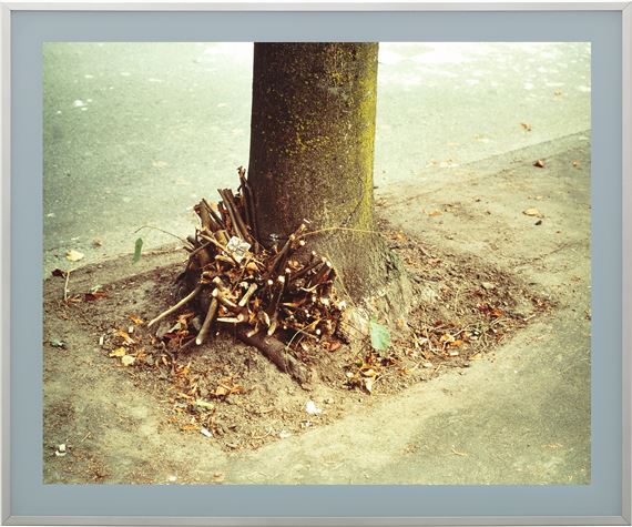 Clipped Branches, E. Cordova St., Vancouver by Jeff Wall, Executed in 1999