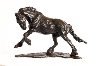 The Shire - Siobhan Bulfin