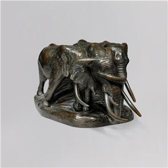 The Wounded Comrade - Carl Ethan Akeley