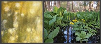 Tracey J. Maroni & Linda Hammett Ory - Concord Art