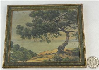 Torrey Pines Near La Jolla - Chester C. Hayes