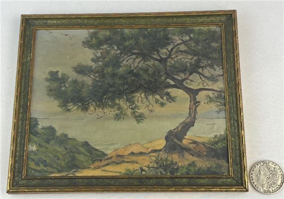 Torrey Pines Near La Jolla by Chester C. Hayes