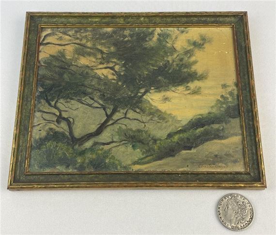 Torrey Pines Near La Jolla by Chester C. Hayes