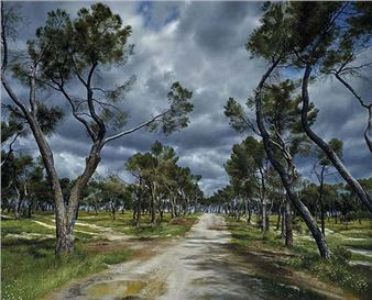 Joaquín Risueño: Caminar el paisaje - Galería Leandro Navarro