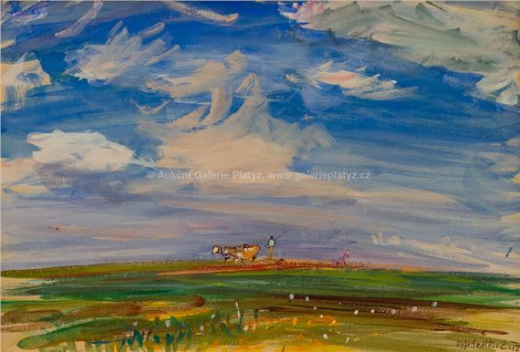 Jaro v polích by Vojtěch Sedláček