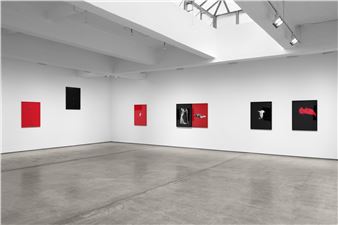 Sarah Charlesworth: Desire and Seduction - Paula Cooper Gallery, New York (521 W 21st Str)