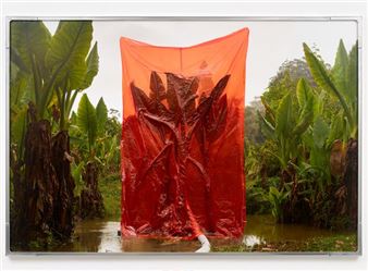 Julius von Bismarck: Normal Disaster