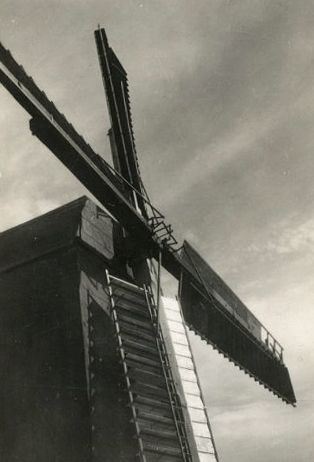 Netherlands by Raoul Hausmann, 1941