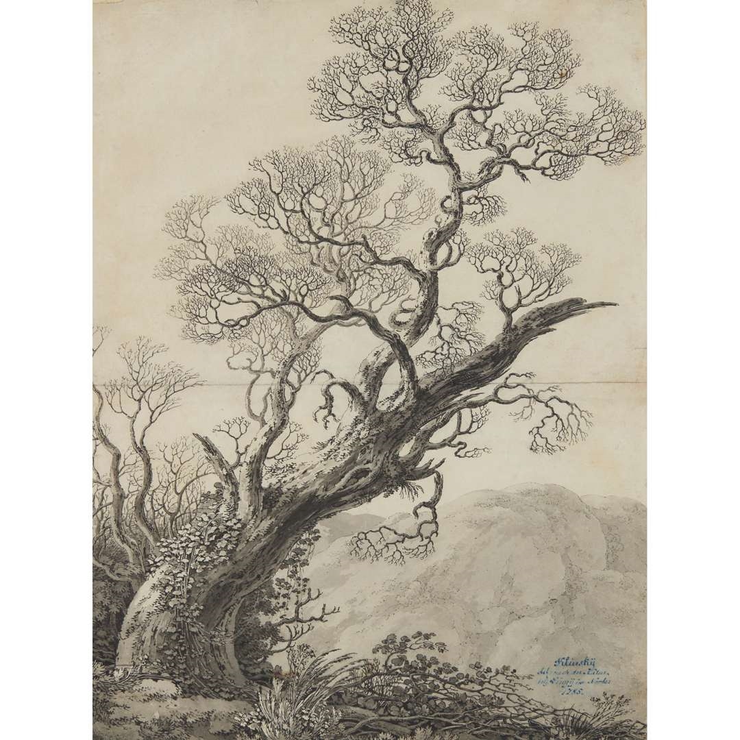 Johann Gottfried Klinsky | KNORRIGE EICHE (GNARLED OAK TREE | MutualArt