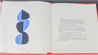 Preface to a future book - Isidore Ducasse