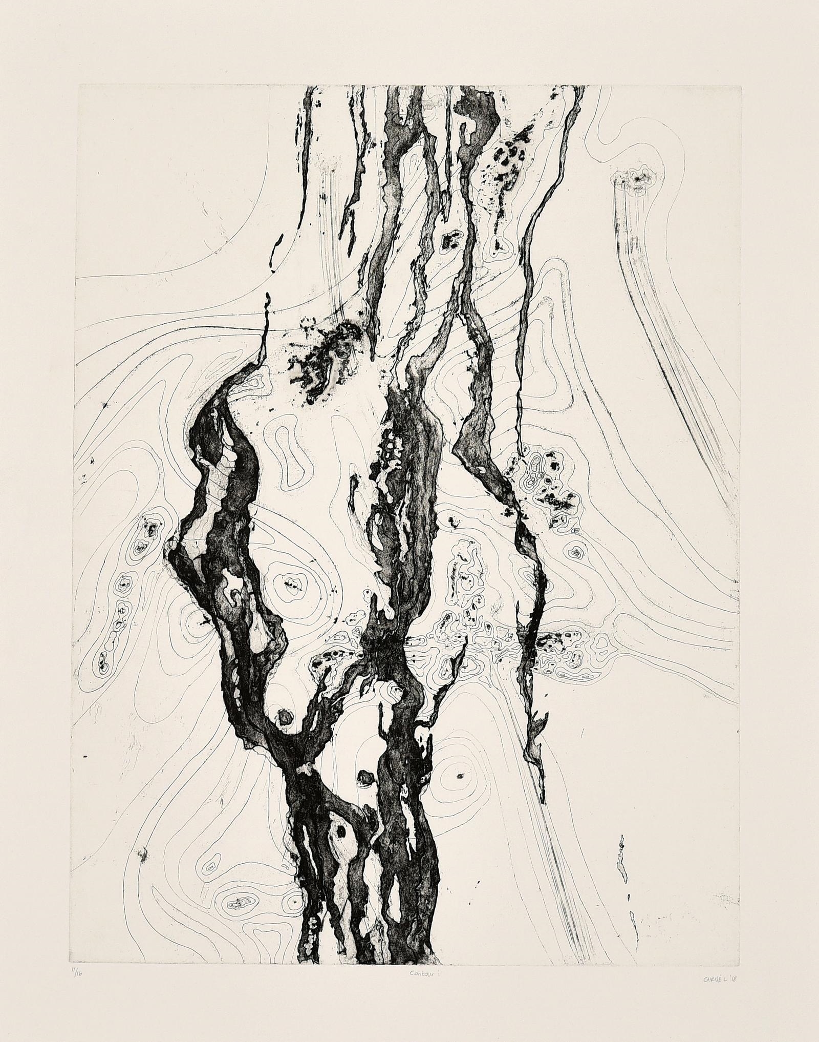 Chrisél Attewell | Contour (2018) | MutualArt