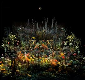 Enchanting ‘Night Gardens’ Collages Celebrate the Precious Beauty of Night-Blooming Plants [Interview]
