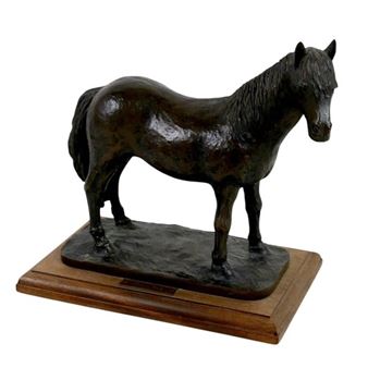 A  equine , modelled as a Welsh Cob - Ellen Hackl Fagan