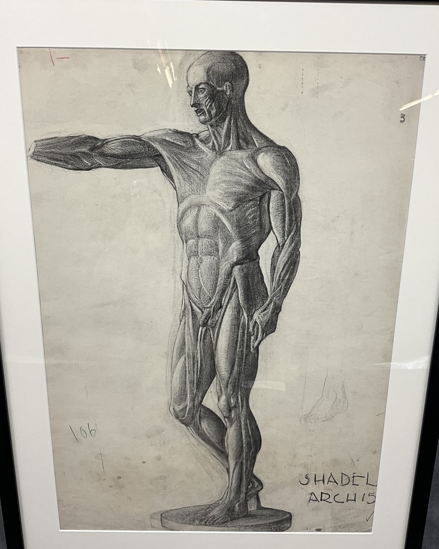 M. S. Shadel | Baltimore School Anatomical Figure Study | MutualArt